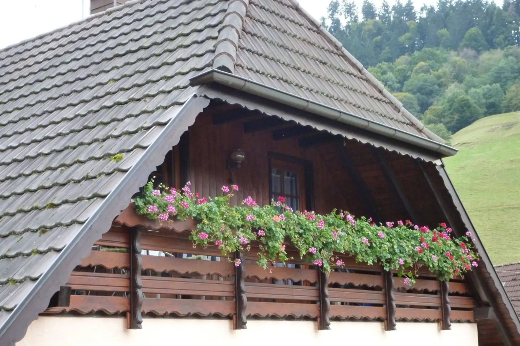 Balkon des Hauses zum Köpfleblick mit blühenden Geranien vor bewaldeten Hängen