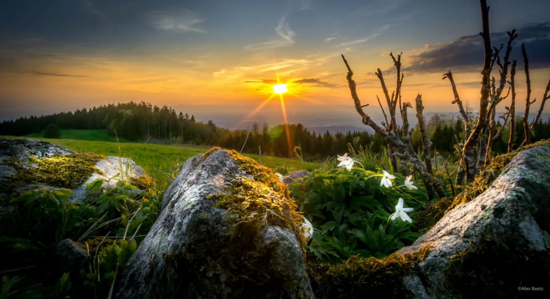Landschaft im Münstertal